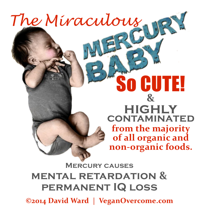 VO-Miraculous-Mutant-Mercury-Babies-1